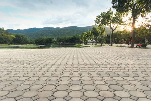 Professional Driveway Pavers in Genesee, ID